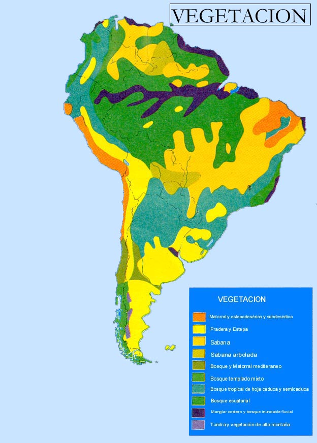 South-America-vegetation.jpg