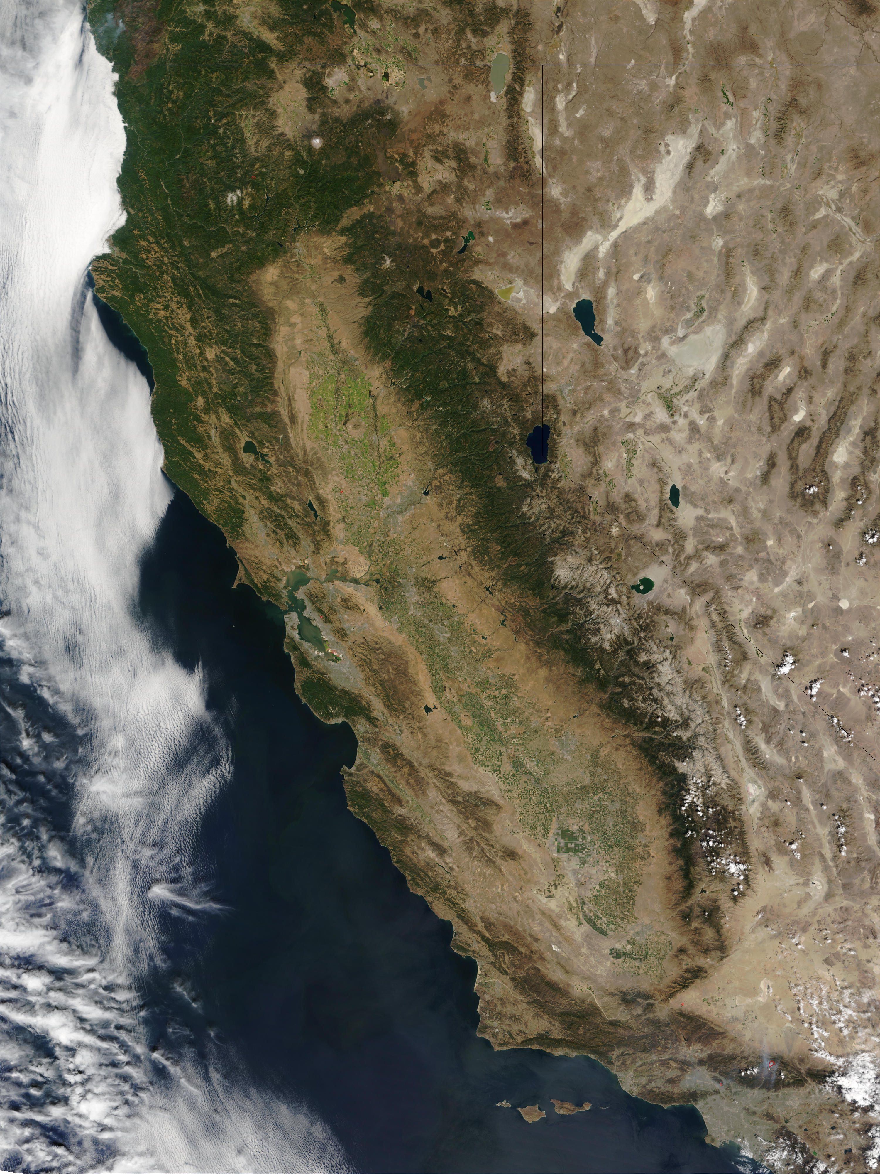 California Tama o Completo Gifex