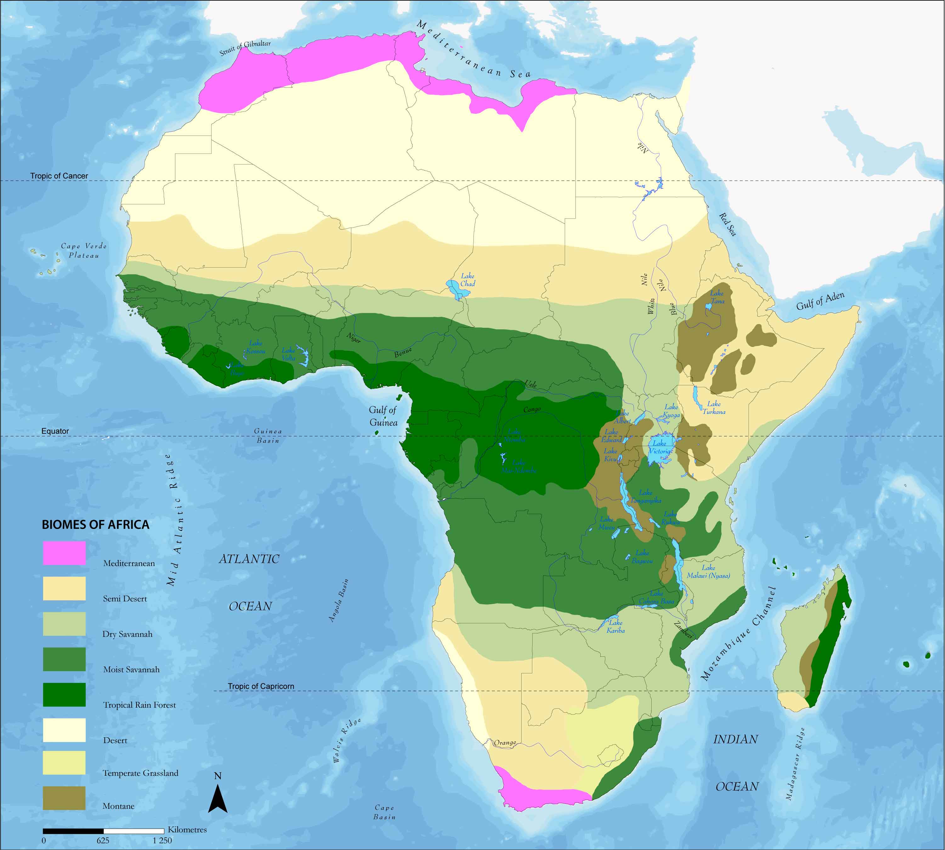 Какие природные зоны в восточной африке. Тропические леса Африки на карте. Карта лесов Африки. Тропическая зона Африки. Карта природных зон Африки.