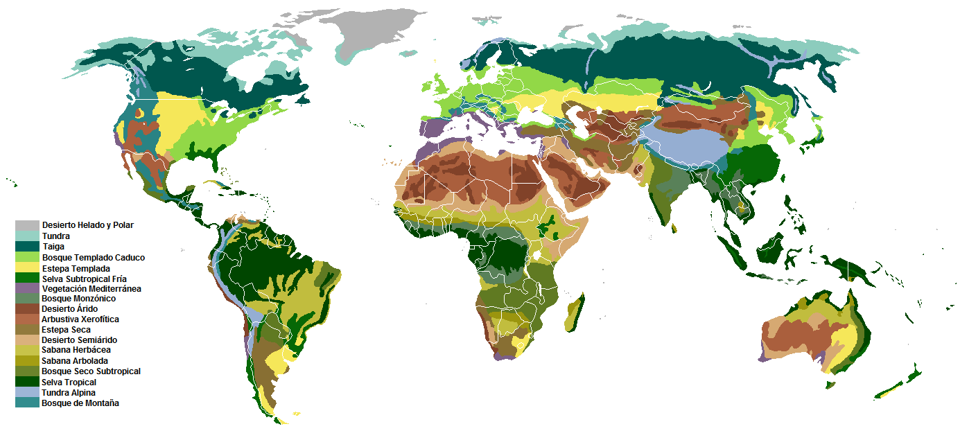 Mapa de biomas del Mundo Tamaño completo Gifex