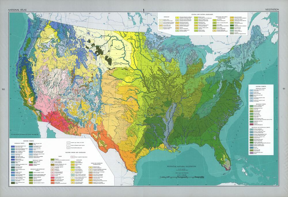 Vegetaci N De Estados Unidos Tama O Completo Gifex Vegetacion De Estados Unidos 
