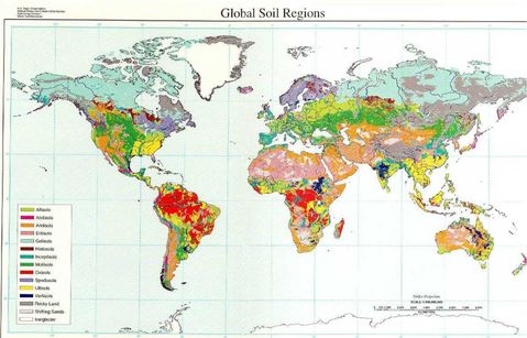 Global Soil Regions Map World Soil Regions | Gifex
