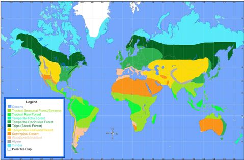 world biome map