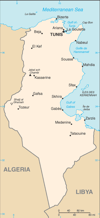 Tunisia Small Scale Map
