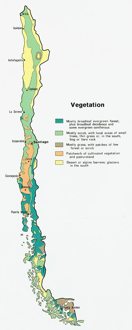 Mapa de Chile - Vegetación