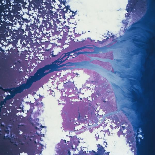 Satellite Image, Photo of Essequibo River, Guyana