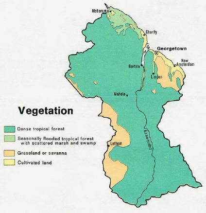 Guyana Vegetation Map