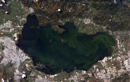 Mapa Satelital, Foto, Imagen Satelite, Foto, Imagen Satélite del Lago de Valencia, Venezuela