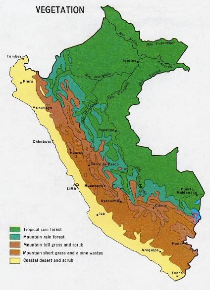 Peru Vegetation Map