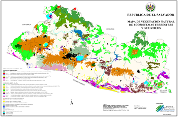 Mapa de Vegetación Natural de El Salvador