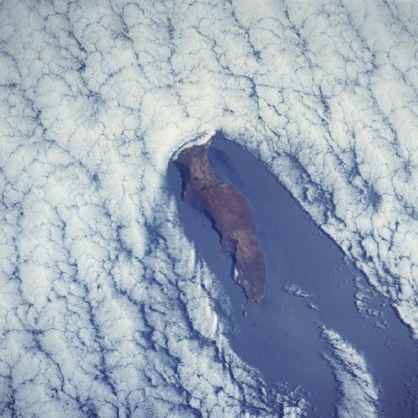 Photo, Image et Carte Satellite de l'Île de Guadalupe, Basse Californie du Nord, Mexique